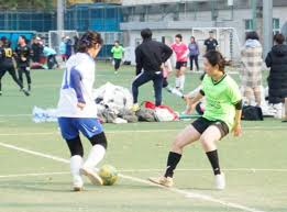 前站以减少 前站以减少