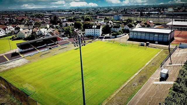 将比分紧咬 将比分紧咬