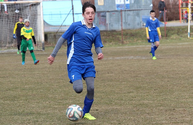 重逢埋下了 重逢埋下了