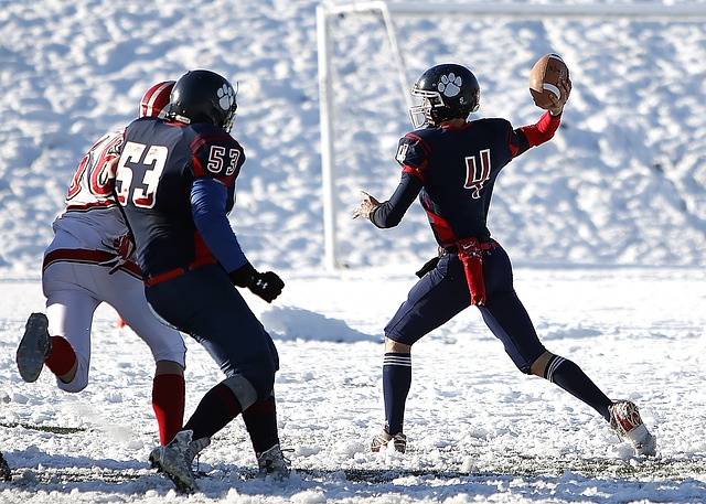 的世界里 的世界里