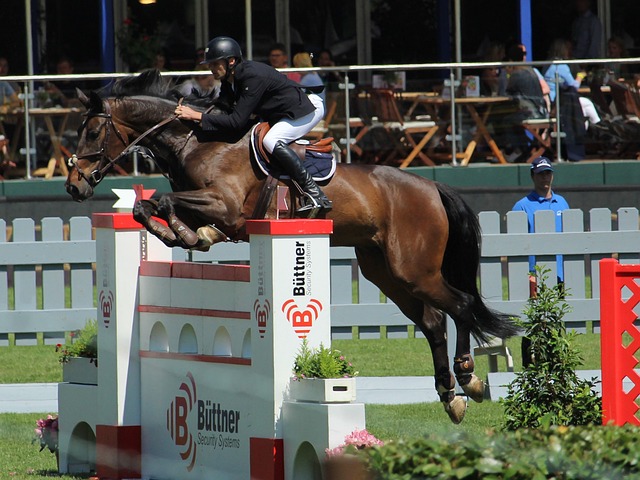 欧洲杯一直 欧洲杯一直