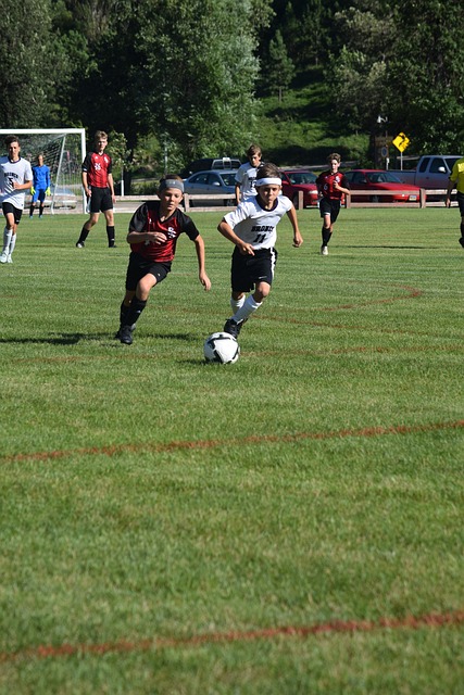 那些成功晋 那些成功晋