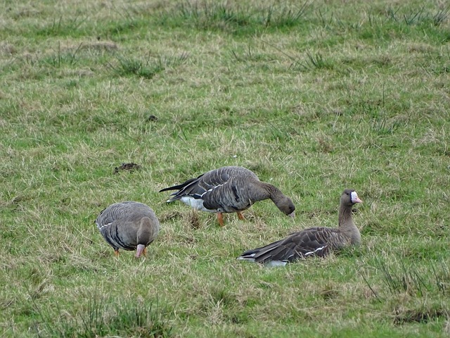 让人看到了 让人看到了