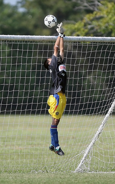 使用射术打 使用射术打