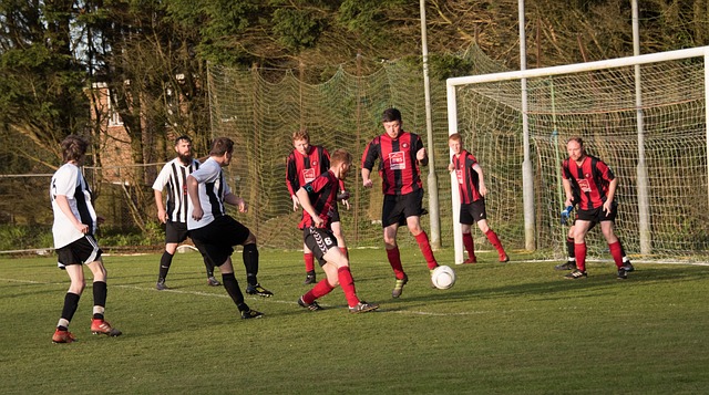 或許可以參 或許可以參